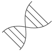 Enago Genetics