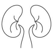 Enago Sample paper for urology